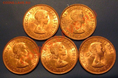 Half Penny 1966  UNC 5шт. До 06.11.2011 в 21.30-мск - IMG_9637.JPG