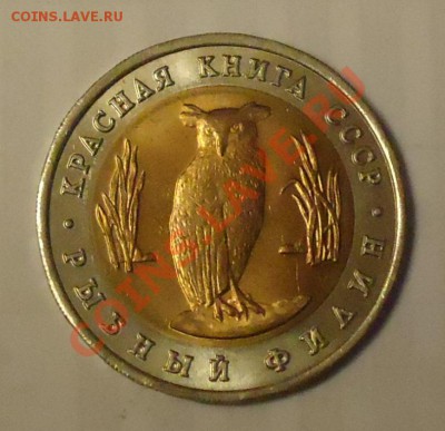 5руб. Красная книга, 1991г., Рыбный филин - DSC02017.JPG