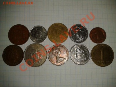 ФЛОРА 3 до 6.11.11 в 21.30 - 2011-11-01 17.42.29
