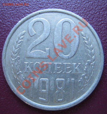 20 коп. 1981г. шт.3.1, Ф-142 до 03.11.2011г. 22.00 мск - IMG_0142.JPG