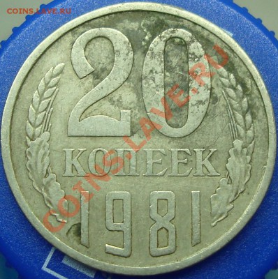 20 коп. 1981. Чекан вне гуртильного кольца? - DSC02159.JPG