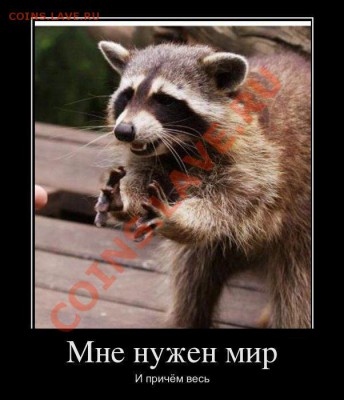 ФАНАТЫ ЕНОТОВ СОБИРАЮТСЯ ЗДЕСЬ!!! - _ ЕНОТ