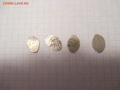 Чешуя . 4 штуки . ( ч ). - IMG_0308.JPG