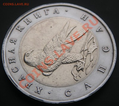 Сапсан 50р. 1994г. раскол - Сапсан раскол_1