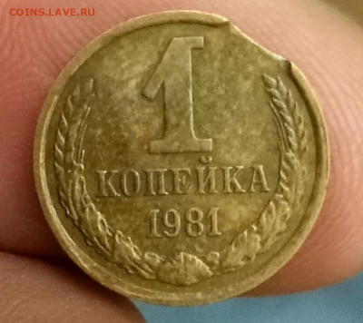 Лот браков СССР и Современной России до 17.11.21 22.00.01 мс - IMG_20211114_212553