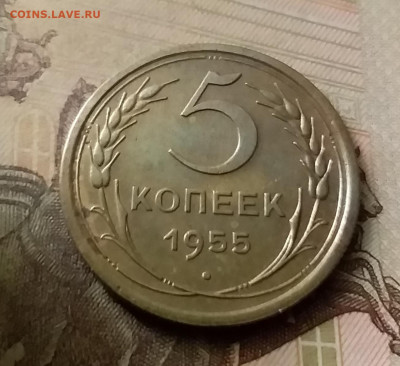 5 копеек 1955. До 18.11.21 в 22.00 - 20211115_233234