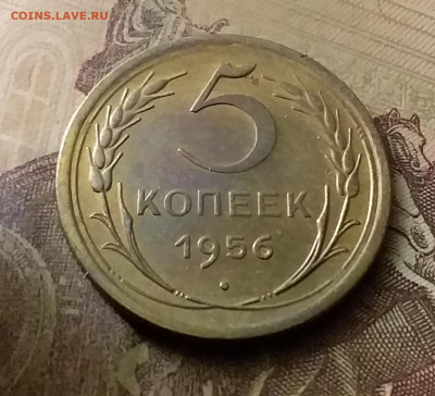 5 копеек 1956. До 18.11.21 в 22.00 - 20211115_233540