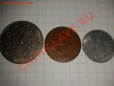 РЫБКИ 1  до 6.11.11 в 21.30 - 2011-11-02 11.09.33