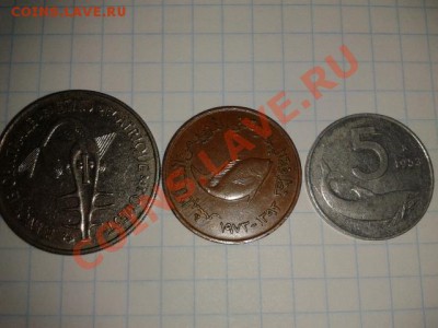 РЫБКИ 1  до 6.11.11 в 21.30 - 2011-11-02 11.09.09