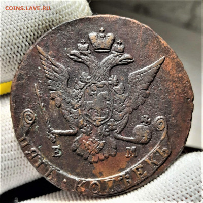 5 копеек 1771 - 19-11-21 - 23-10 мск - 20211113_195458