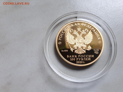 100 рублей 2020 Полярный волк Золото 999 (1) до 19.11 - 3
