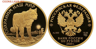 100 рублей 2020 Полярный волк Золото 999 (2) до 19.11 - волк 1