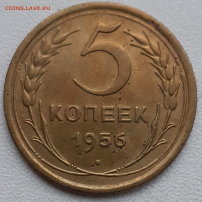 5 копеек 1956. До 22.11.21. - 20211117_152427