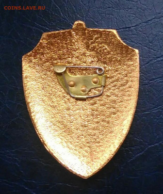 знак начальник караула до 25.11.2021 - IMG_20211119_162001