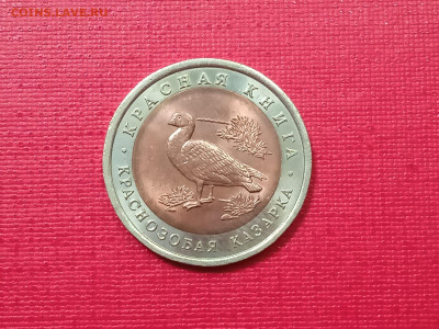 10 рублей 1992 года Краснозобая Казарка - WhatsApp Image 2021-11-19 at 15.07.56