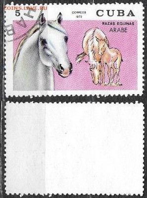 Марки Америки. 1972. Куба. Лошади - Куба. Лошади