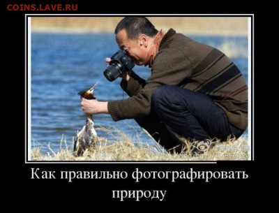 юмор - 1399994618_1-demotivatory-xaxanet-20140513