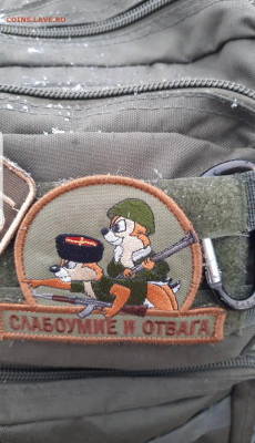 делает - прямо сейчас !!! - Screenshot_20211121-135941_Instagram
