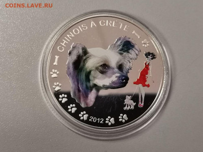 1000фр 2012 Бенин- Китайская хохл собачка, Ag999, до 27.11 - С Собака Хохлатая-1