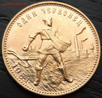 Две монеты - Один червонец "Сеятель" 1981 года - DSCN4739.JPG