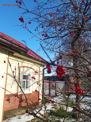 делает - прямо сейчас !!! - IMG-20211123-WA0026