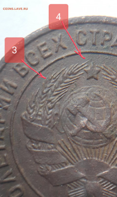 1 коп.1924 гравировка аверса шт.1.1 - 20211124_122718