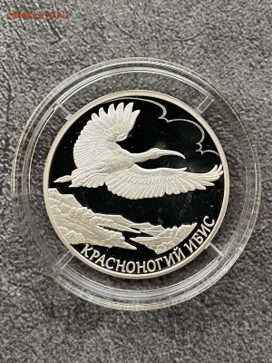 Красная книга 2019 г. комплект  серебро до 27.11 - IMG_3146