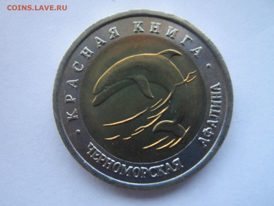 кк Афалина 50 руб 1993 до 28.11.21 в 22:30 - IMG_9880.JPG