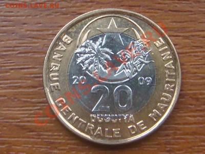-vБ- Мавритания 20 угия 2009 бимет. до 3.11(21.00) - DSC05396.JPG