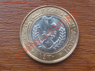 -vБ- Мавритания 20 угия 2009 бимет. до 3.11(21.00) - DSC05394.JPG