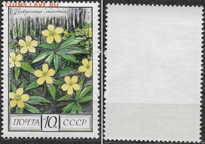 Марки СССР 1975. №4532. Ветреница лютичная - 4532