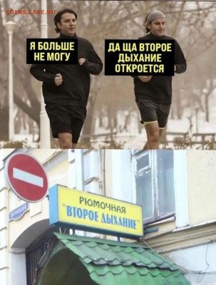 юмор - IMG-20211125-WA0006