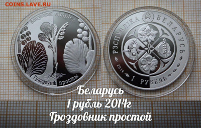 Беларусь 1 рубль 2014 Гроздовник простой. До 29.11. в 22:00 - аук