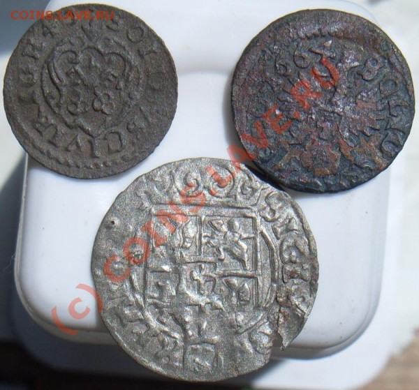 Солид Кристины, Яна Казимира + полторак Зигмунда III. - SDC10678.JPG
