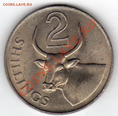 ГАМБИЯ 2 ШИЛЛИНГА 1966 БЫК ДО 07.11.11 В 22.00МСК (867) - img051