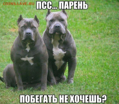юмор - 1564728908_30