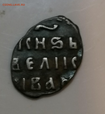 Чешуйка определение - IMG_20211128_104852