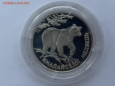 1р. 1994г. Красная книга Гималайский медведь до 03.12.2021 - 976FD61A-8F23-4CF3-BB6D-1CB85BBCF588