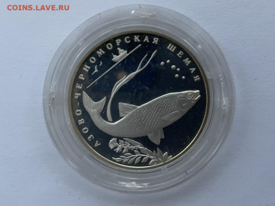 2р. 2008г. Красная книга Шемая до 03.12.2021 - 78DA9034-6F9E-4F2E-8429-58179404D07D