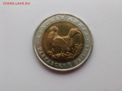 50 рублей 1993 Тетерев до 22.oo мск 4.12.2021 - IMG06023