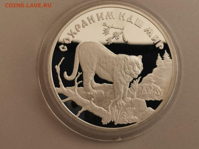 3р 1996г Сохраним наш мир -Амурский тигр, серебро, до 05.12 - Y АМУРСКИЙ ТИГР-1