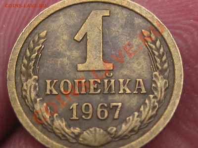 1967 без остей? 1988 Носик у еденицы - IMG_5549.JPG