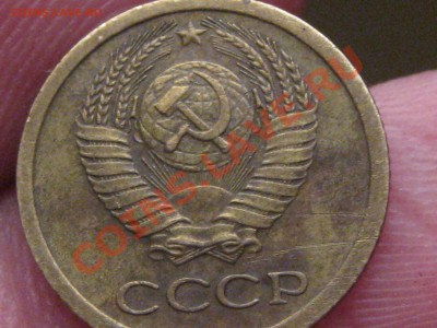 1967 без остей? 1988 Носик у еденицы - IMG_5550.JPG