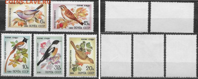 Марки СССР 1981. Певчие птицы - 5221-5225