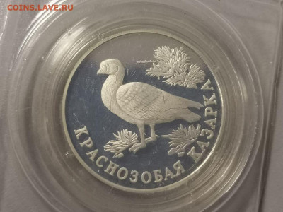 1р 1994г Красная книга- Казарка. Пруф запай, Ag900, до 06.12 - X Казарка зап-1