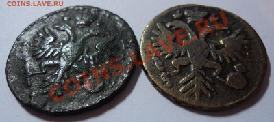 Денга 1730, 1731 - DSC01970.JPG