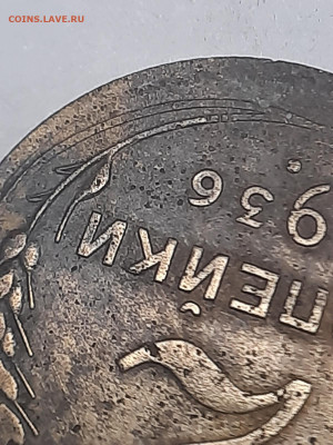 2 копейки 1936г 5 стеблей - 20211130_113027