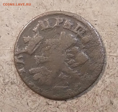 Копейка 1704-1705? - IMG_20211128_214024