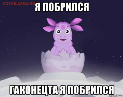 делает - прямо сейчас !!! - luntik_222099264_orig_