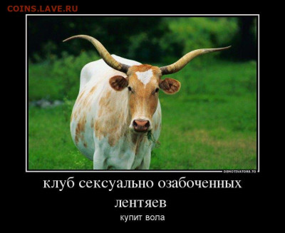 юмор - 1351281788_73737_klub-seksualno-ozabochennyih-lentyaev-_demotivators_ru